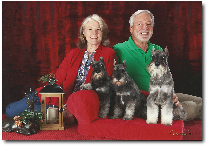 Legacy schnauzers sale